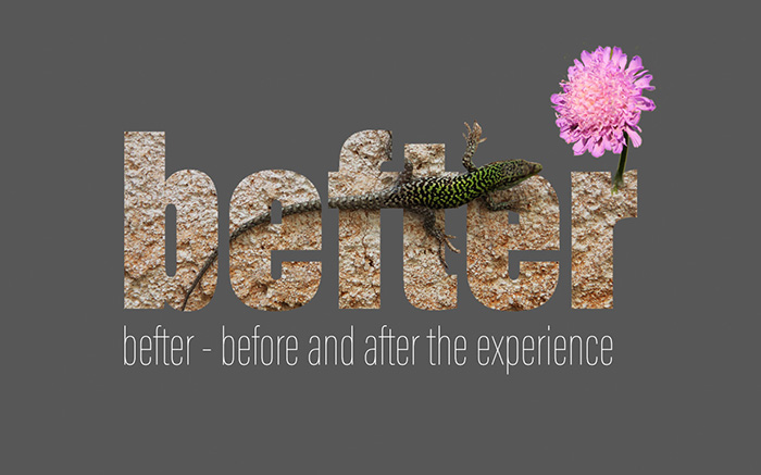 befter - before and after the experience, a teaching and learning concept in 7 steps